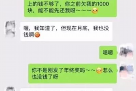 高邑高邑的要账公司在催收过程中的策略和技巧有哪些？